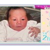 向井純葉の経歴
