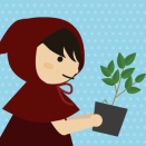 暖かくなってベランダが華やかになってます