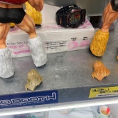 ���Ԥ��Ƥ�ޤ����ʤ�Ω�ƤФ��������