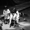 鳩の餌やり（モノクロ）