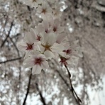 東京農工大学陸上競技部ブログ