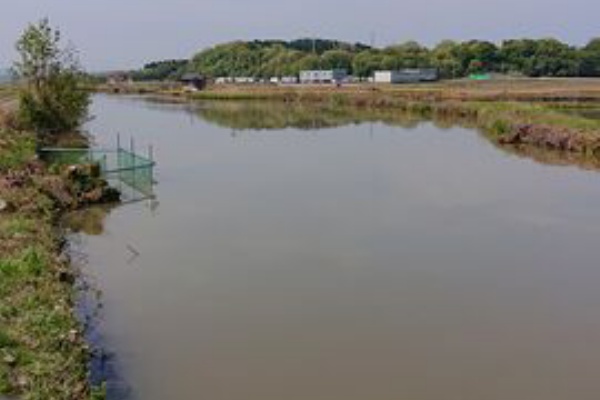 やっぱ石川っていいわ