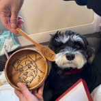 あおちゃんのZIL Noble旅