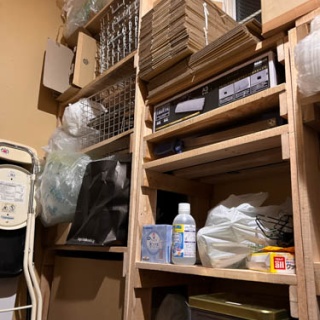 馬とニャンコと男と女