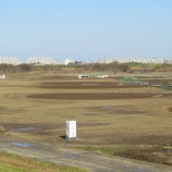 『温かい日差しで、水たまりも消えてきました』の画像