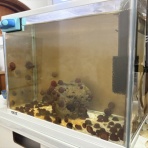 Beach Field　いいかげん日記帳Ⅲ