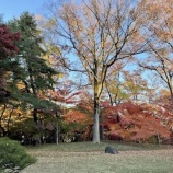 『殿ヶ谷戸庭園で紅葉狩り&BACKENのシナモンロール』の画像