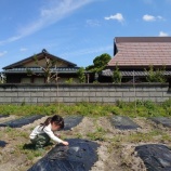 『退屈と消費』の画像