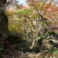 奇岩と錦秋織りなす絶景～霊山（東ノ物見）
