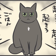 毎日スミちゃんの視線を感じてる