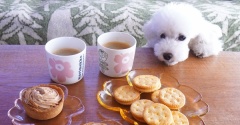 【衝撃セール】マリメッコまさかの60％OFFでまたポチ！お茶時間♪からのパラティッシが半額以下⁈