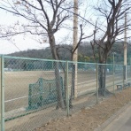 野球場巡り