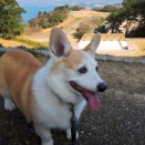 暖かいので丘の上の広い公園へ！