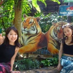 プーケットツアーはプーケットしまかぜ案内人の観光ツアー、オプショナルツアー、ダイビング、スパ、夜遊び、ナイトライフ情報