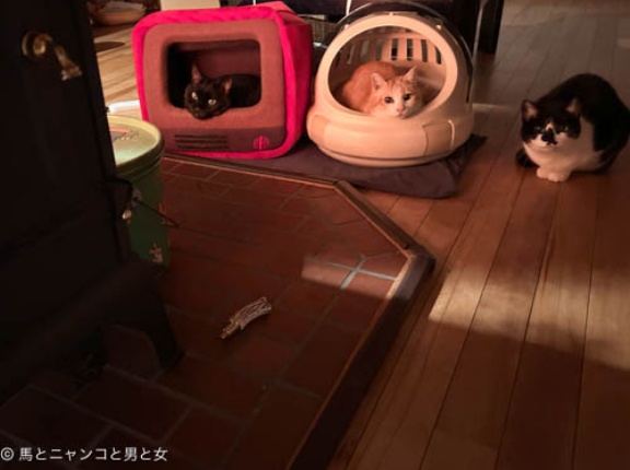 温度差
