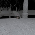 【FF14】クレセントアイル北征編の特に何もない地下空間「暗闇の領域」、開発段階ではエヌオーCEがあったと予想される「地下には隠しボスやCEが欲しかった」