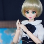 フィギュアとＤｏｌｌの狭間で
