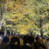 『河辺コーチ❗️明治神宮✨』の画像