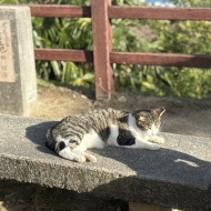 【尾道】尾道の素敵すぎるノスタルジックカフェ　～帆雨亭（はんうてい）