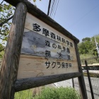 『LAOWA7.5mmF２で巡る多摩森林科学園＆BORG最新情報　2019/04/25』の画像