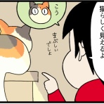 柴犬どんぐり三毛猫たんぽぽ