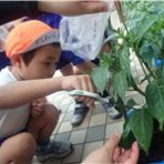 どの子も育つ　みさと幼稚園（三郷市）