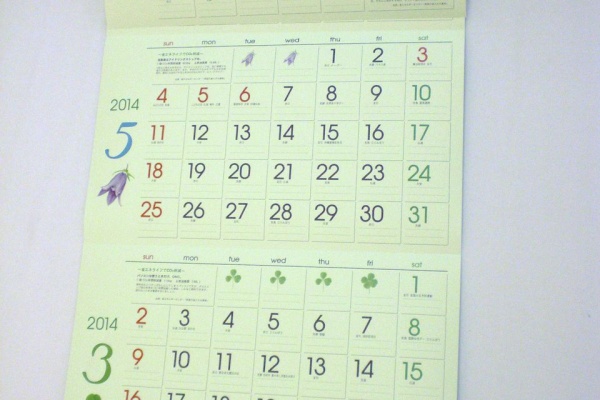 熊本 骨盤ダイエット はり灸治療 小顔矯正 かりくさ日記