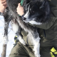 【犬のいる幸せ】あれ！いいかも？とプライドをかなぐり捨てる（笑）