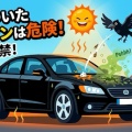 車についた鳥のフンは危険