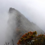 善通寺山の会