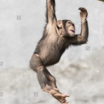 コンディショニングトレーナー小林さくらのブログ〜エッセンシャルトーク〜