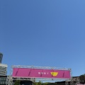 餃子フェス　in 大阪城