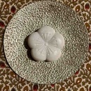 第八十八回　とらやの最中（東京都港区）