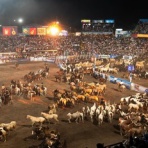 主観的アルゼンチン/ブエノスアイレス事情