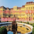 『オーストリアワーホリ求人情報』の画像