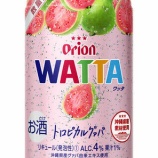 『【数量限定】沖縄のスーパーフード“バンシルー”を味わって「WATTA トロピカルグァバ」』の画像