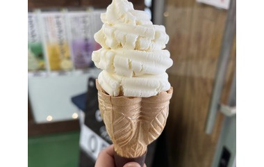 『こんなところにアイス屋さんイワサ商会』の画像