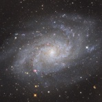 星空に魅せられて