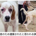 オンライン署名ご協力をお願い致します！