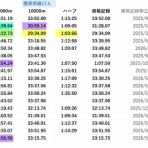ナイトホークスの長距離記録板