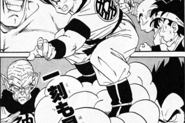 ドラゴンボール　⭐︎一回は読んだ方がいいぞ⭐︎ ドラゴンボールを読みましょうか42 それぞれの一年間