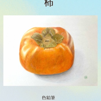 【色鉛筆イラスト】117 柿　【食べ物イラスト】