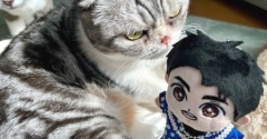 こひろみくんに興味がない猫と大好きな猫