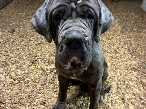 アレックス君夜の部トイレタイム👌