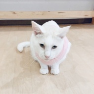 閉店のおしらせ