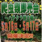 爬虫類倶楽部仙台店ブログ