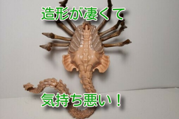 白キジの日常 01