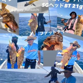 フラッター日誌