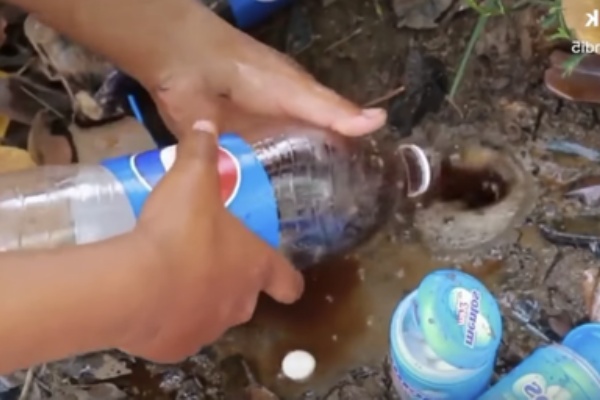 メントスコーラで魚獲り動画が世界中に大流行 その辺のよくわからない穴にメントスコーラ注ぐ奴続出 ふーどまとめ