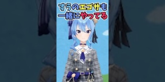 【ホロライブ】すいちゃんでエゴサするとすうちゃんも一緒に出てくるのでなんの配信をしているか詳しいすいちゃん